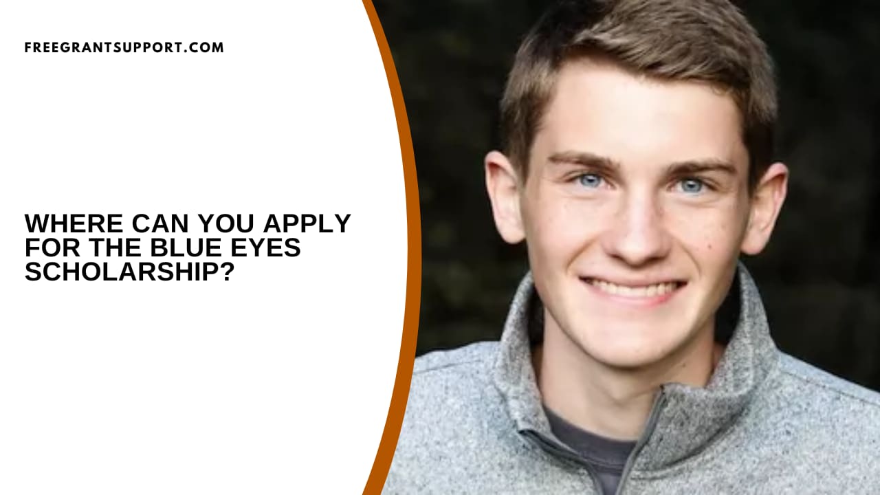 Where Can You Apply for the Blue Eyes Scholarship?